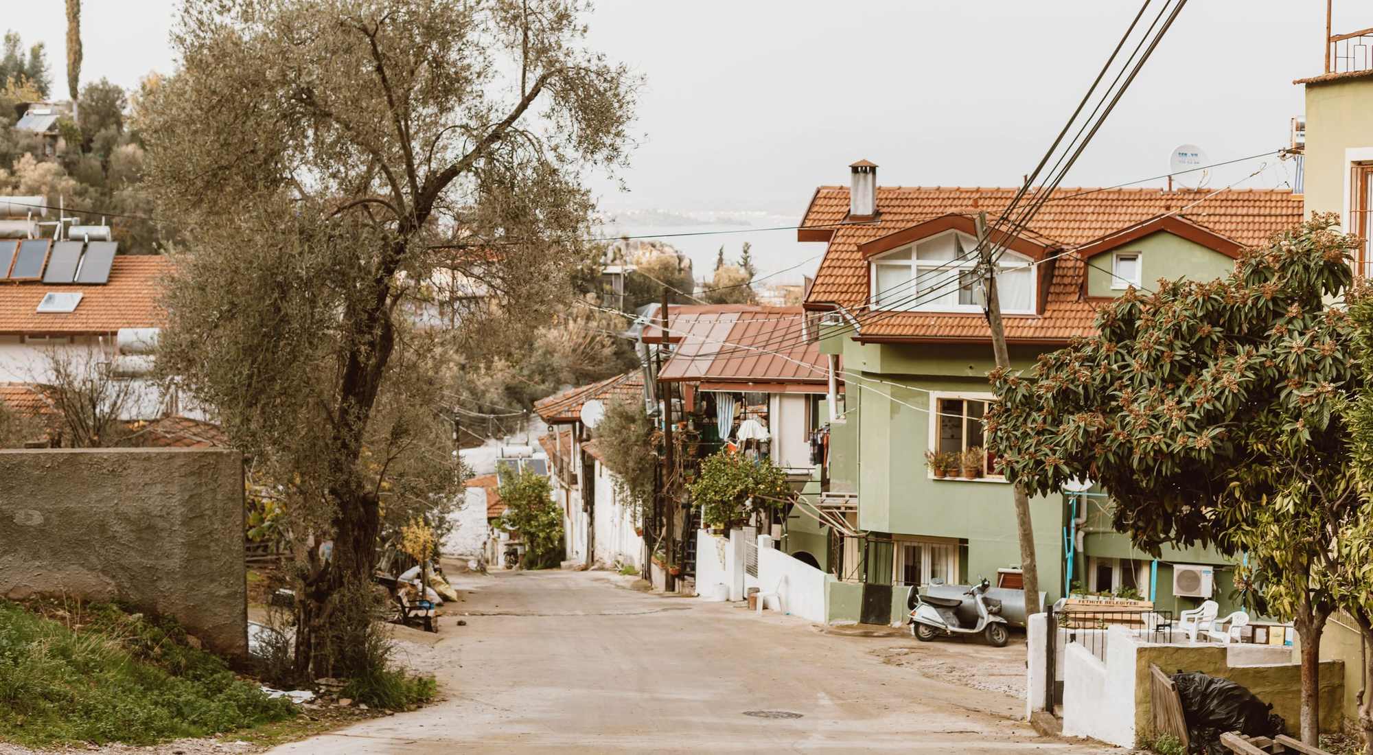 A quiet neighborhood street of colorful homes surrounded by greenery